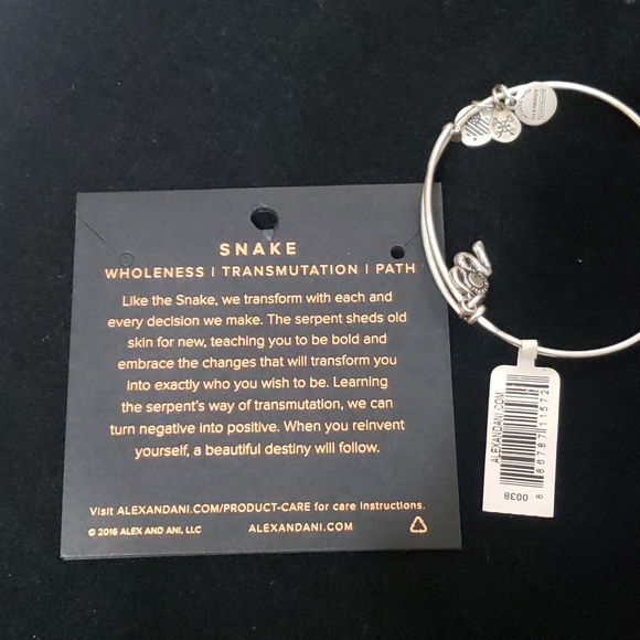 NWT Alex & Ani Rafaelian Silver Snake & Swarovski Crystal 2017 - Picture 13 of 13